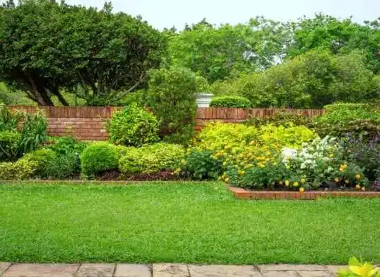 landscaping services Kinston